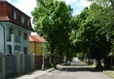 Улица старые Модржаны с деревьями